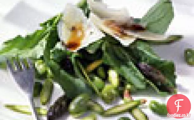 파바 빈,아스파라거스,아루 굴라 샐러드,면도 페코 리노