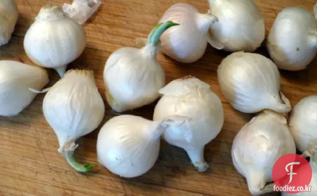 레몬 향 칵테일 양파